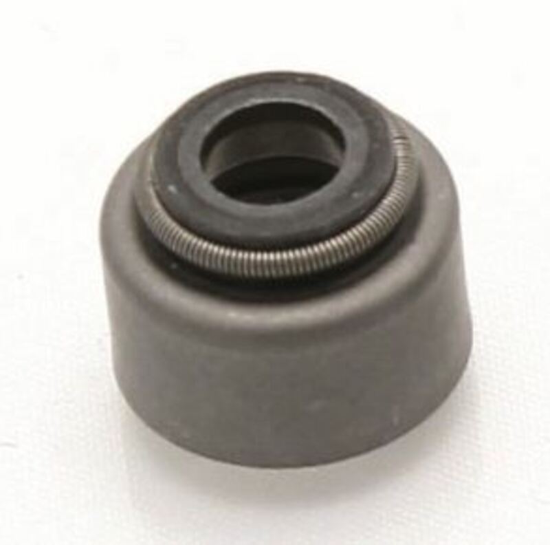 CENTAURO Klepsteeldichtingen - 10 stuks