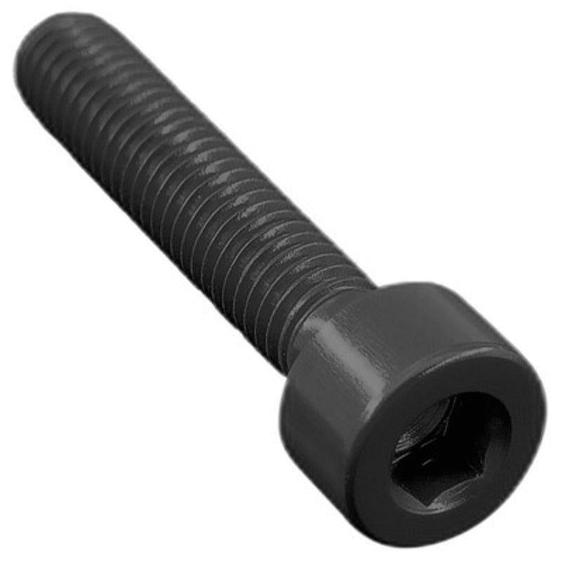 LIGHTECH BTR screws with cylindrical head M5 x 25 black Ergal