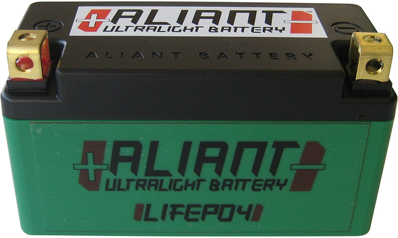 ALIANT LITHIUM ION Battery YLP09X