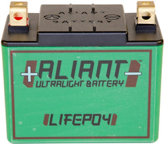 ALIANT LITHIUM ION Battery YLP10