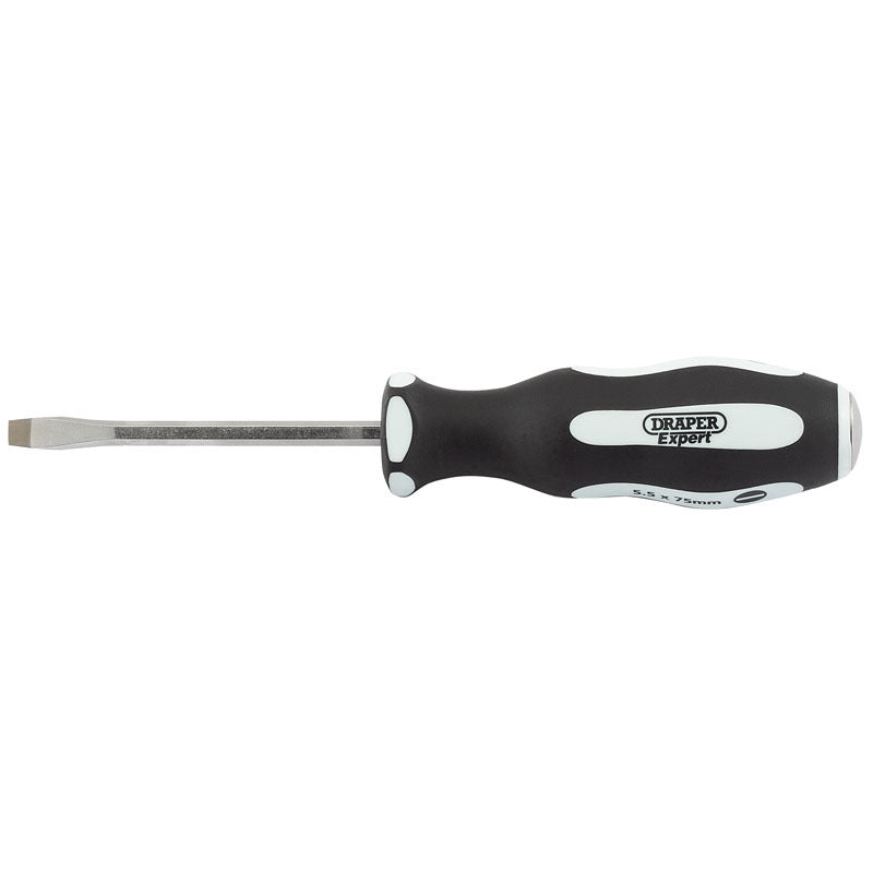 DRAPER Flat nose screwdriver 6.5x100mm 