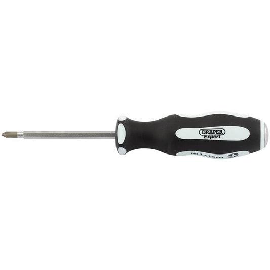 DRAPER Phillips screwdriver 2x100mm 