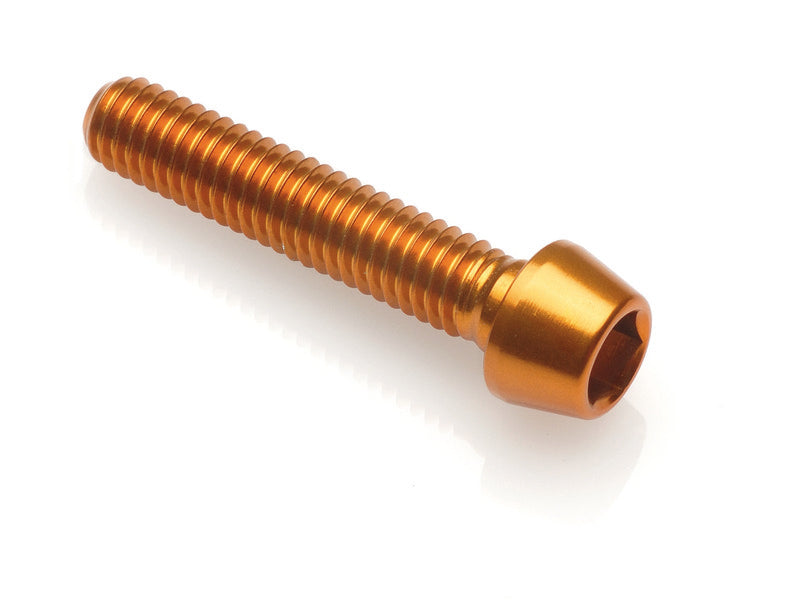 LIGHTECH BTR screws with conical head M6 x 25 gold Ergal