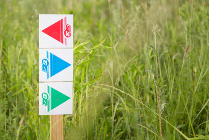 S3 Signaling Arrows Green 50 Pieces 12x12cm 