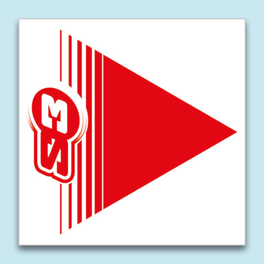 S3 Signaling Arrows Red 50 Pieces 12x12cm 