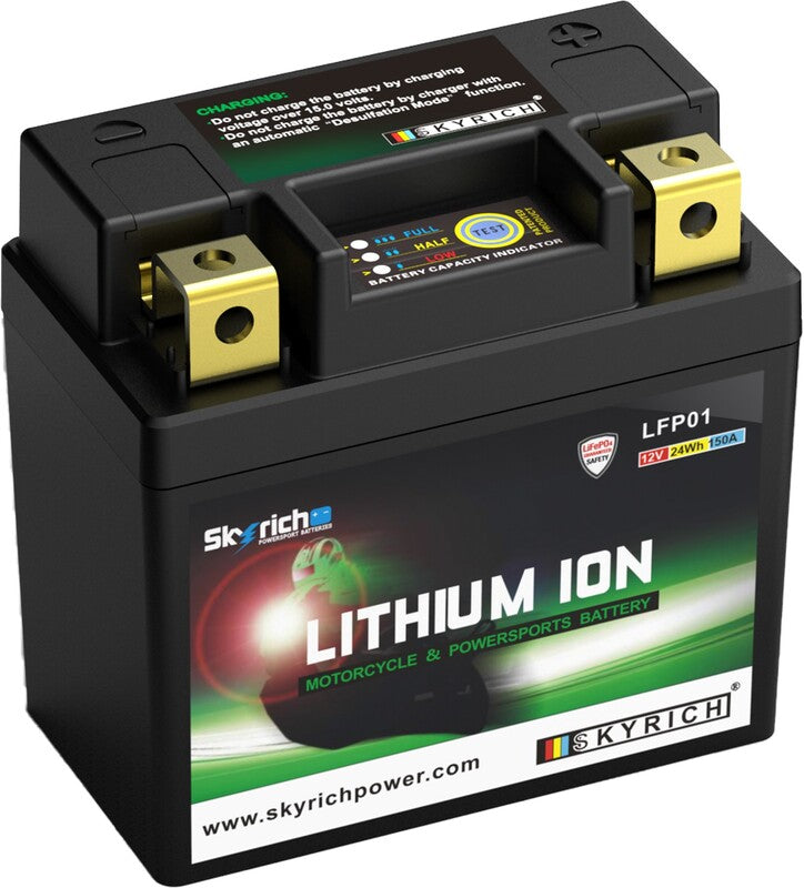 SKYRICH Accu Lithium-Ion - LFP01