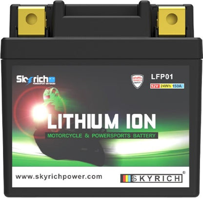SKYRICH Accu Lithium-Ion - LFP01