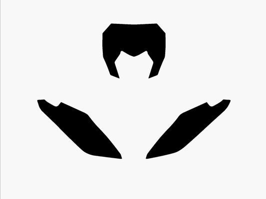 BLACKBIRD Plate Stickers Blue Fantic XX 