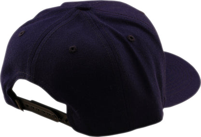 TROY LEE DESIGNS Curved Snapback Badge Pet