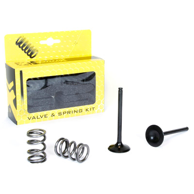 ProX Steel Exhaust Valve/Spring Kit LT-R450 '06-11