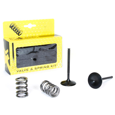 Prox Steel Intake Valve/Spring Kit LT-R450 '06-11