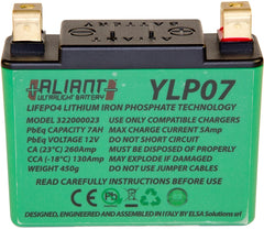 ALIANT LITHIUM ION Battery YLP07